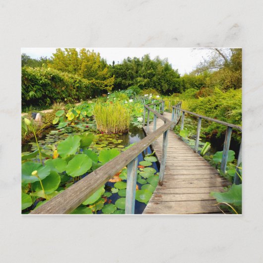 Lily Pond Briefkaart (Voorkant)