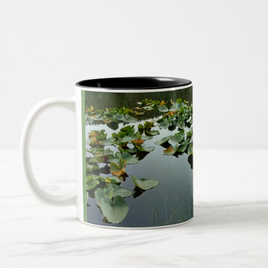 Lily Pond C Tweekleurige Koffiemok (Links)