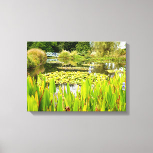Lily Pond Canvas Print