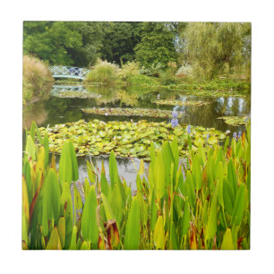 Lily Pond Ceramic Tegel Tegeltje