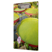 Lily Pond Clipboard Klembord (Links)