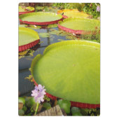 Lily Pond Clipboard Klembord (Achterkant)
