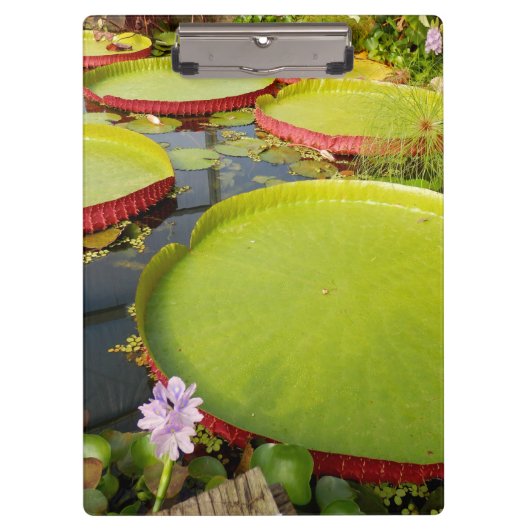 Lily Pond Clipboard Klembord (Voorkant)