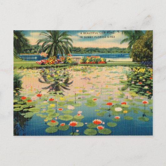 Lily Pond in Sunny Florida Briefkaart (Voorkant)