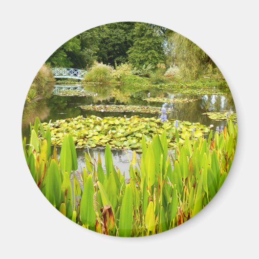 Lily Pond Magnet (Voorkant)