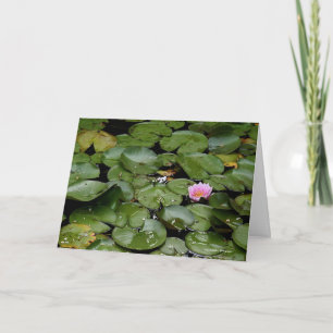 Lily Pond Note Kaart
