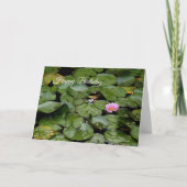 Lily Pond Verjaardag Kaart (Voorkant)