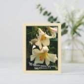 LILY Post Card Briefkaart (Staand voorkant)