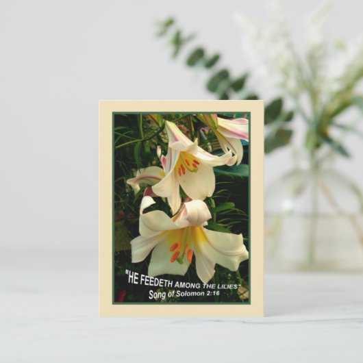 LILY Post Card Briefkaart (Staand voorkant)