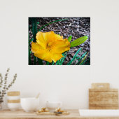 Lily Poster (Keuken)