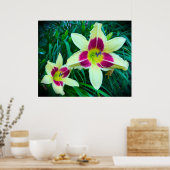 Lily Poster (Keuken)