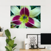 Lily Poster (Thuiskantoor)