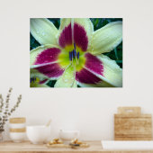 Lily Poster (Keuken)