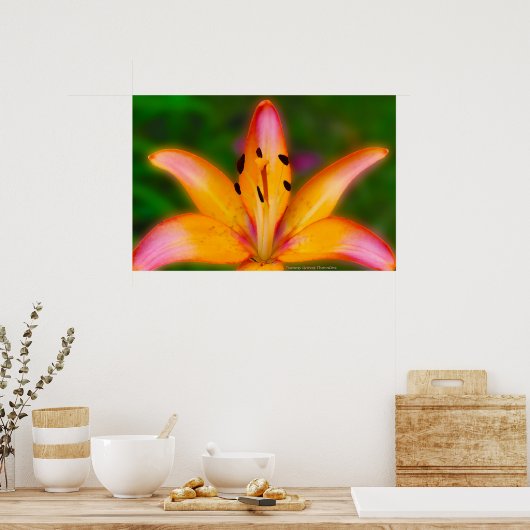 Lily Poster (Keuken)