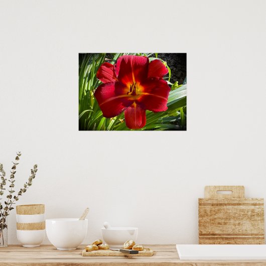 Lily Poster (Keuken)