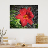 Lily Poster (Keuken)