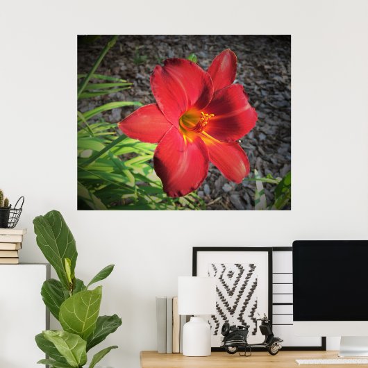 Lily Poster (Thuiskantoor)