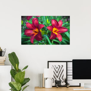 Lily Poster