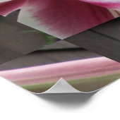 Lily Red White Plant House Poster (Hoek)