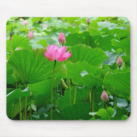 Lily Standing Tall Muismat (Voorkant)