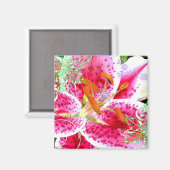 Lily Stargazer Fantasy, Magneet (Voorkant / Achterkant)