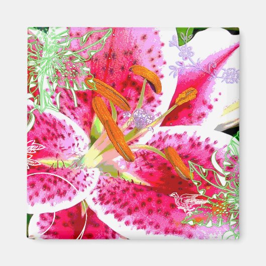 Lily Stargazer Fantasy, Magneet (Voorkant)