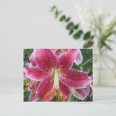 Lily Stargazer Paarse Flower Briefkaart (Staand voorkant)