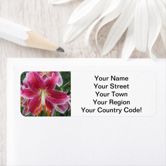 Lily Stargazer Paarse Flower Etiket (Insitu)