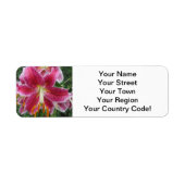 Lily Stargazer Paarse Flower Etiket (Voorkant)