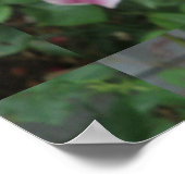 Lily Stargazer Paarse Flower Poster (Hoek)
