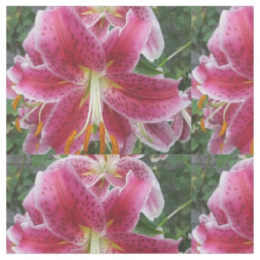 Lily Stargazer Paarse Flower Stof (Close Up)