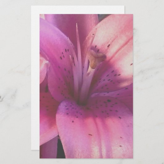 Lily Stationery Briefpapier (Voorkant / Achterkant)