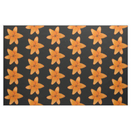 Lily Stof