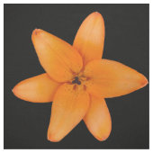Lily Stof (Swatch)