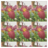 Lily Stof (Swatch)