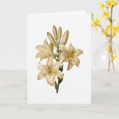 Lily Sympathy Greeting Card Kaart (Gele Bloem)