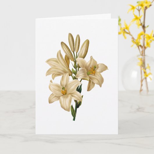 Lily Sympathy Greeting Card Kaart (Gele Bloem)