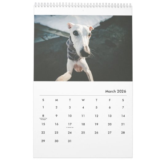 Lily the Whippet 2017 Calendar Kalender (Mar 2026)