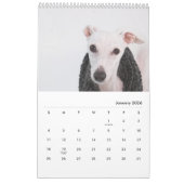 Lily the Whippet 2017 Calendar Kalender (Jan 2026)