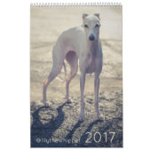 Lily the Whippet 2017 Calendar Kalender (Hoes)