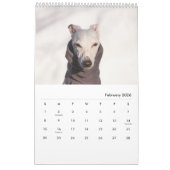 Lily the Whippet 2017 Calendar Kalender (Feb 2026)