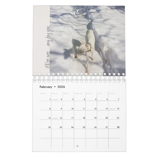 Lily The Whippet Calendar 2016 Kalender (Feb 2026)