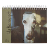 Lily The Whippet Calendar 2016 Kalender (Hoes)