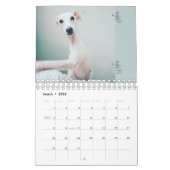 Lily The Whippet Calendar 2016 Kalender (Mar 2026)