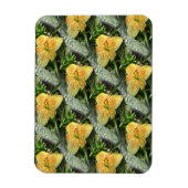 Lily Time... Magneet (Verticaal)