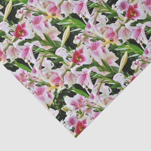 Lily Tissue Paper Tissuepapier (Detail)