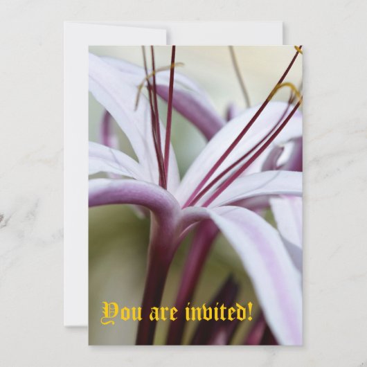 Lily Uitnodigingen - Op Maat Gemaakt (Voorkant)