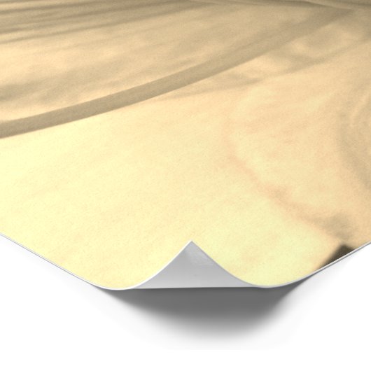 Lily valt dicht bij Sepia Tint Poster (Hoek)