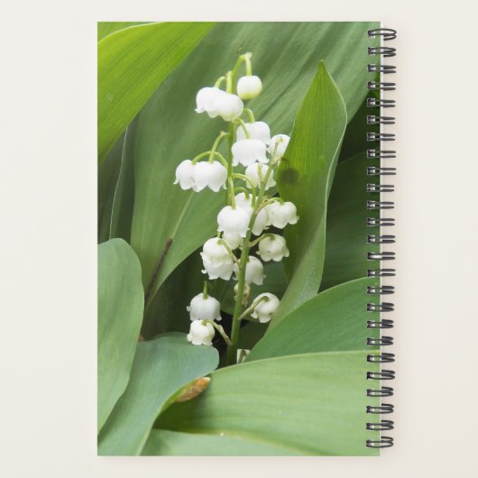 Lily van de bloemen planner (Achterkant)