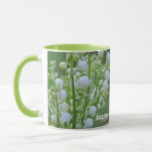 Lily van de mok van de vallekoffie (Links)